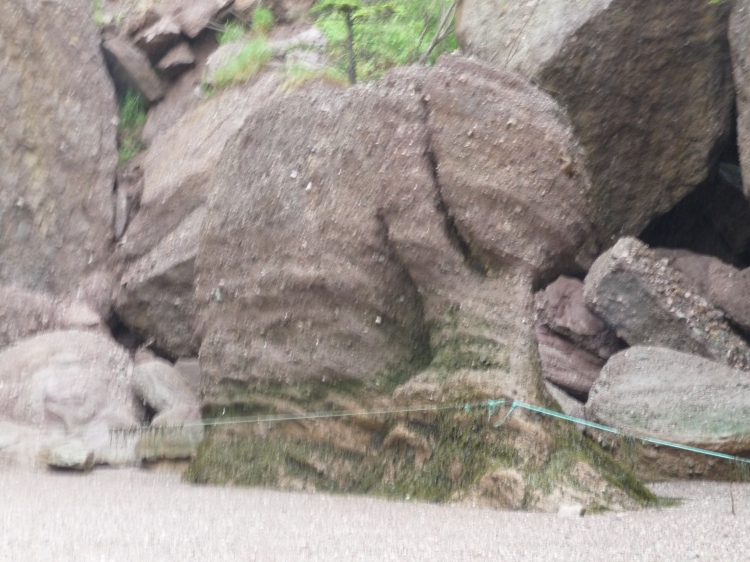 Do you spot a baby elephant in these rocks?